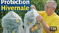 Protection hivernale, sortie d’hiver, saveurs & greffage