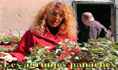 Les agrumes panachés par Bénédicte Bachès