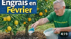 ENGRAIS EN FÉVRIER, le petit apport organique qui change tout