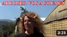 ARROSER VOS AGRUMES