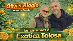 EXOTICA TOLOSA – JARDIN D’ACCLIMATATION EN CONDITIONS RÉELLES