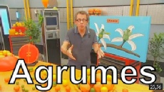 Les agrumes - C'est pas sorcier [Intégrale]