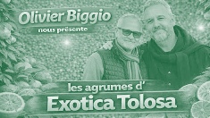 EXOTICA TOLOSA – JARDIN D’ACCLIMATATION EN CONDITIONS RÉELLES